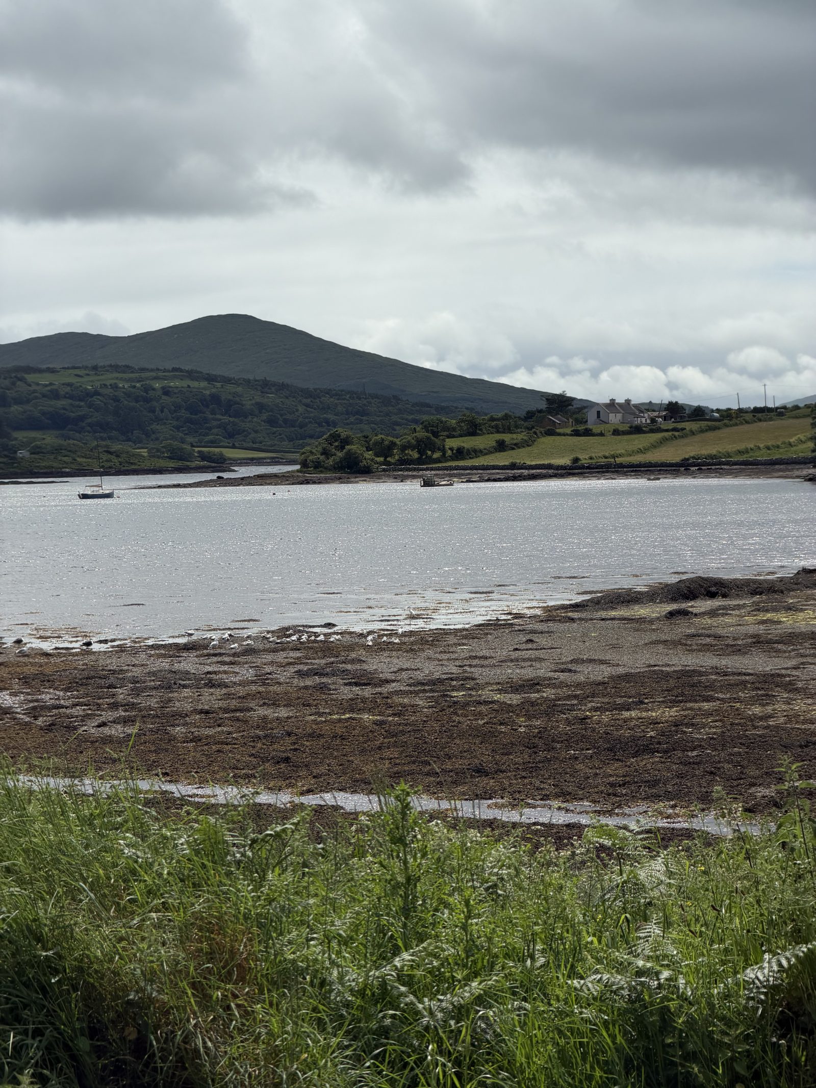 A quiet tidal inlet on the peninsula, a green hill rising across the water under a grey sky