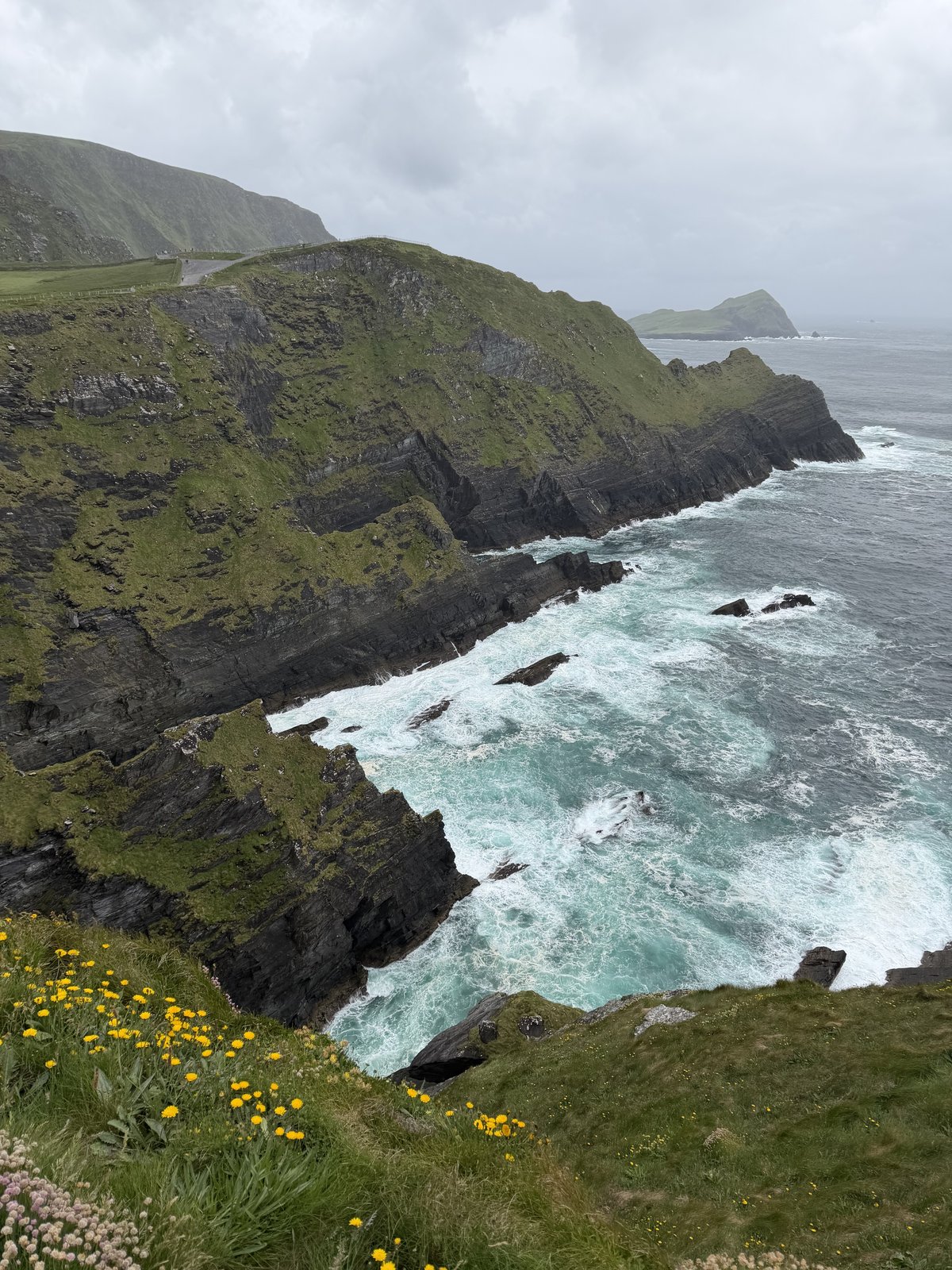 The Kerry Cliffs falling in green and black layers to white surf, with sea thrift and wildflowers in the foreground