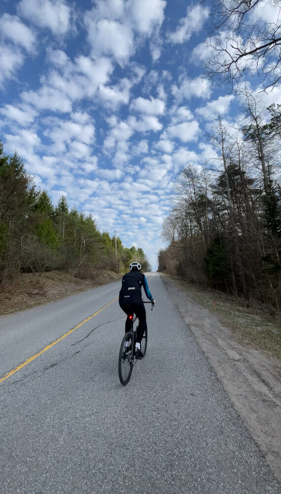 Quiet road heading into the trees near Rouge park