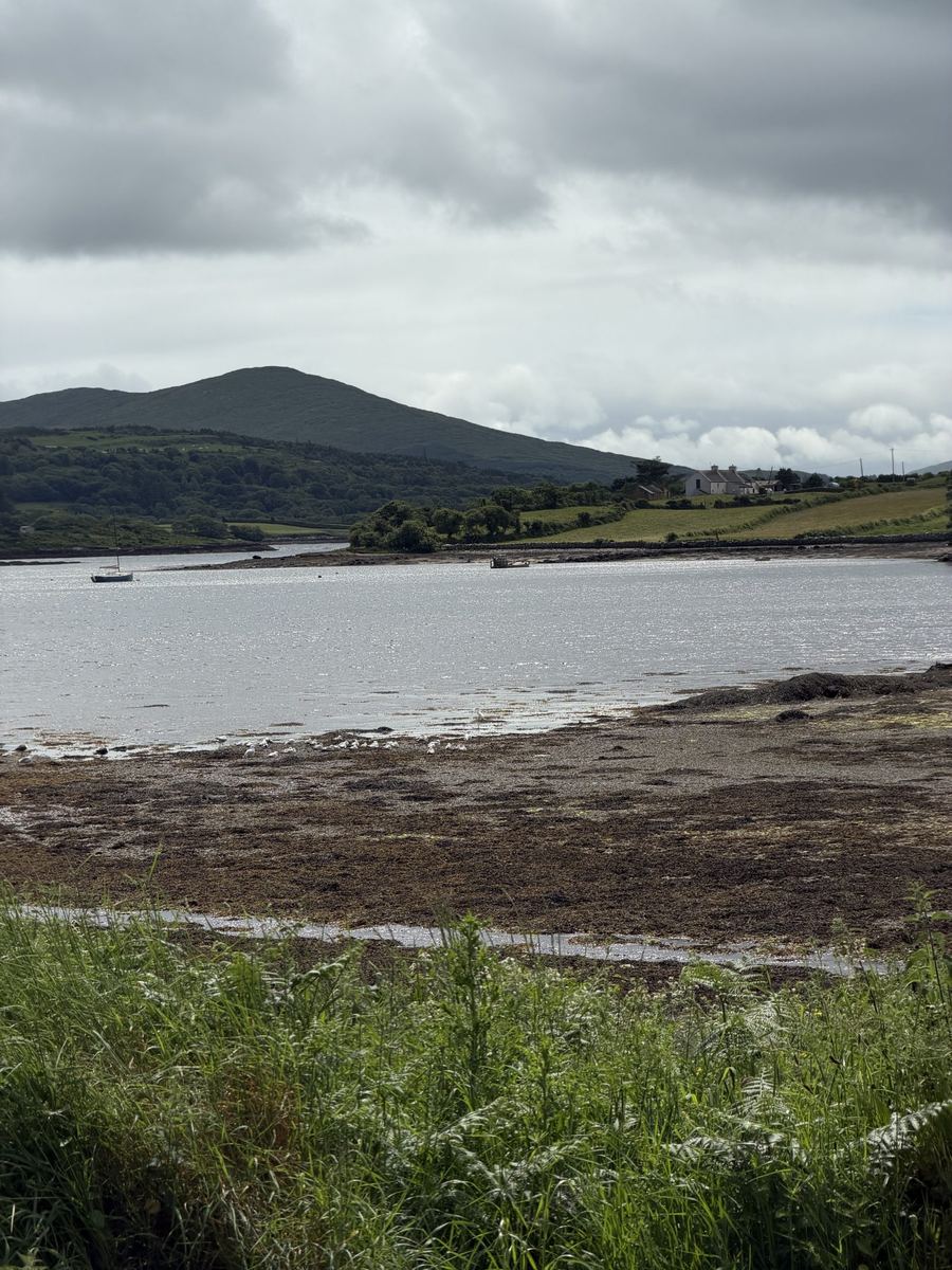 A tidal inlet on the peninsula, a green hill rising across the water under a grey sky