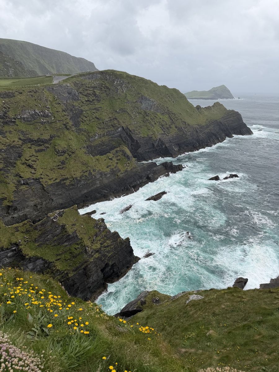 The Kerry Cliffs with wildflowers on day six