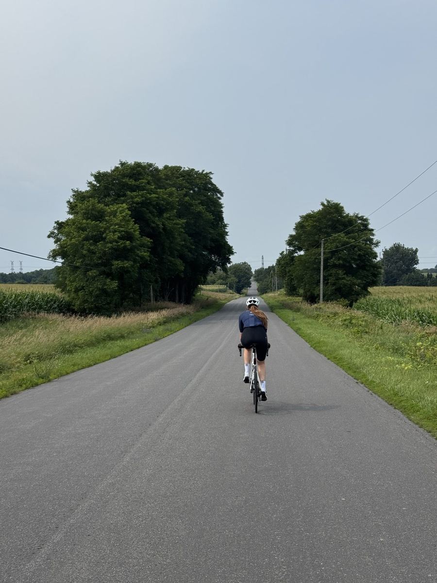 Bailey riding away on a farm road between fields of corn